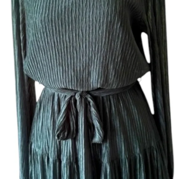 She‎ + Sky Elegant Green Pleated Dress Emerald size small - Picture 5 of 5